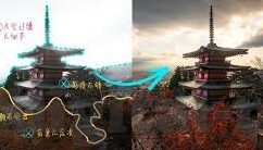麻豆精品app-麻豆精品APP，生活美学与创意的梦幻交汇